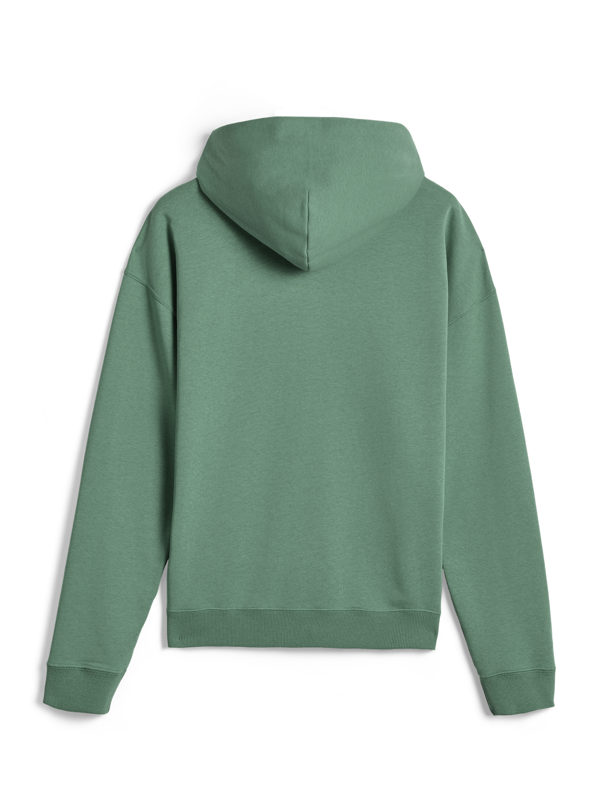 Alpinestars Essentials Ageless Hoodie, vardagligt streetwear, kaktusgrön, ryggvy, långärmad huvtröja med ribbade muddar och nederkant, ren minimalistisk design