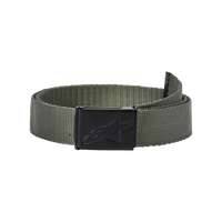 Ageless Web Belt
