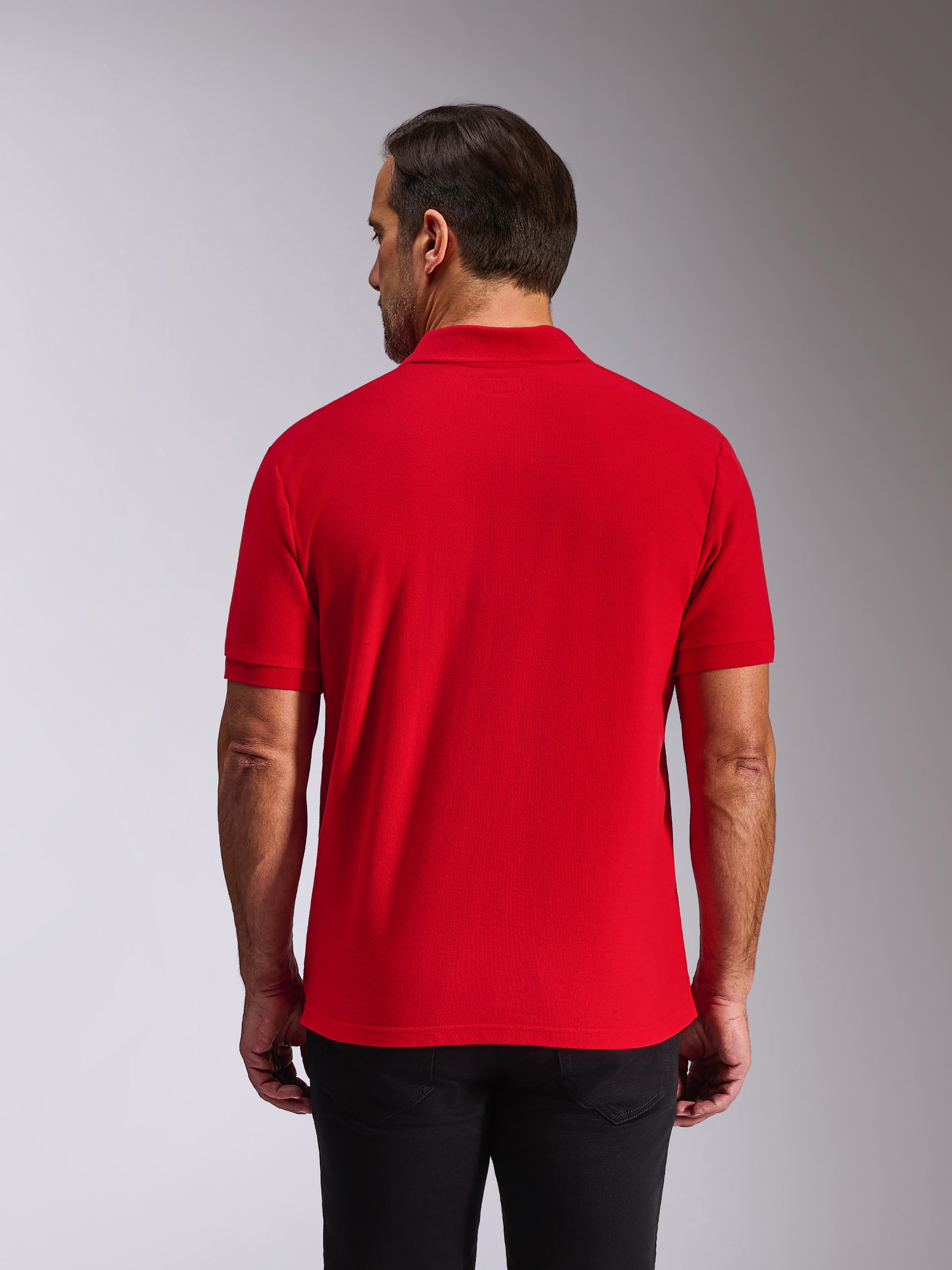 Alpinestars Endeavor Classic Polo, kortärmad pikétröja, röd, sedd bakifrån på modell, med ribbad krage och ärmslut, avslappnat motorsportinspirerat streetwear