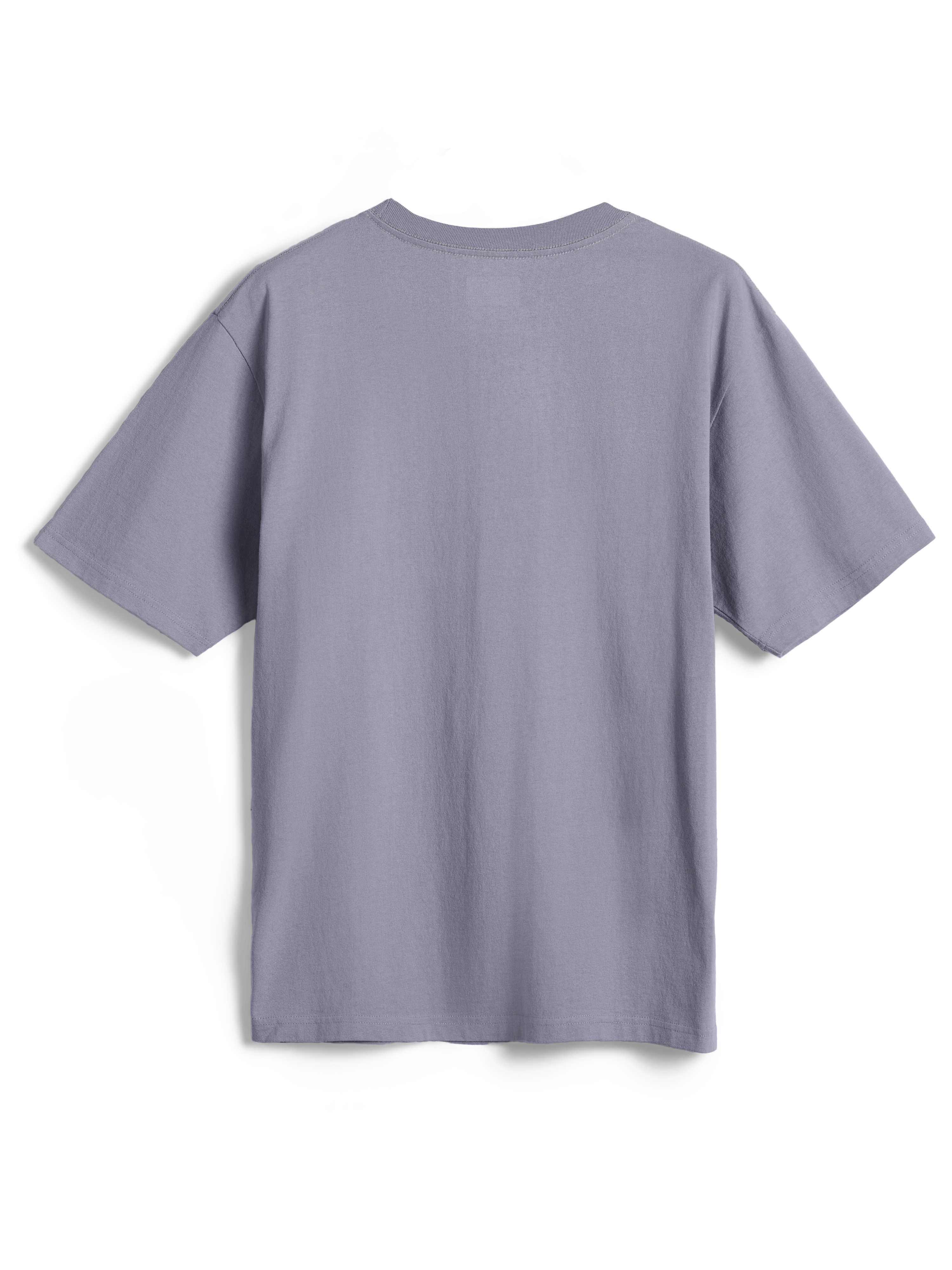 Alpinestars Essentials Ageless SS Tee, kortärmad t-shirt, silver, baksida, stilren design, avslappnad passform, ekologisk bomull, casual streetwear
