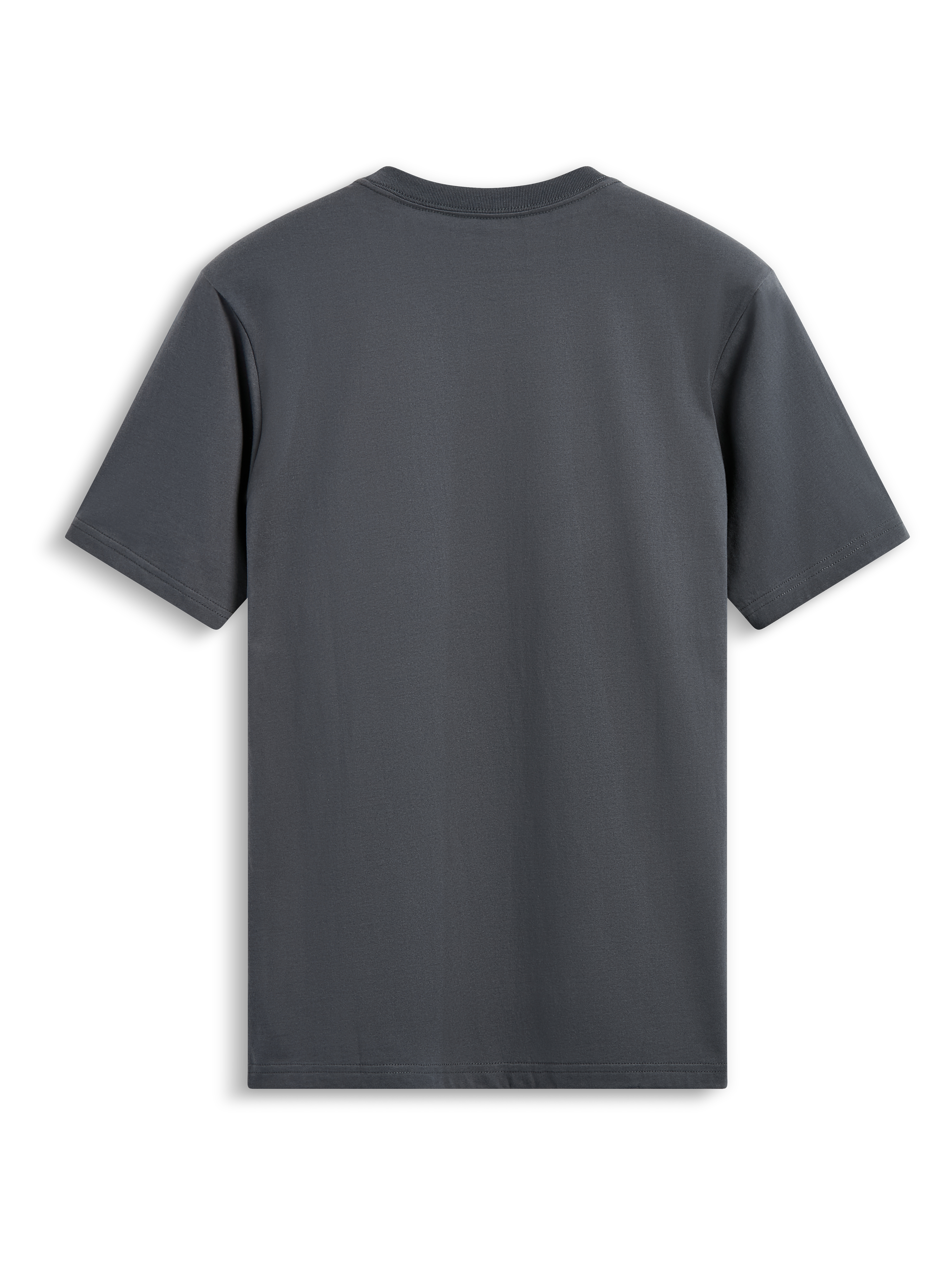 Alpinestars Waving CSF Tee, kortärmad t-shirt, charcoal, vy bakifrån, avslappnad motorsportinspirerad streetwear