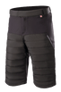 Denali 2 Shorts