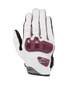 Chrome Gloves