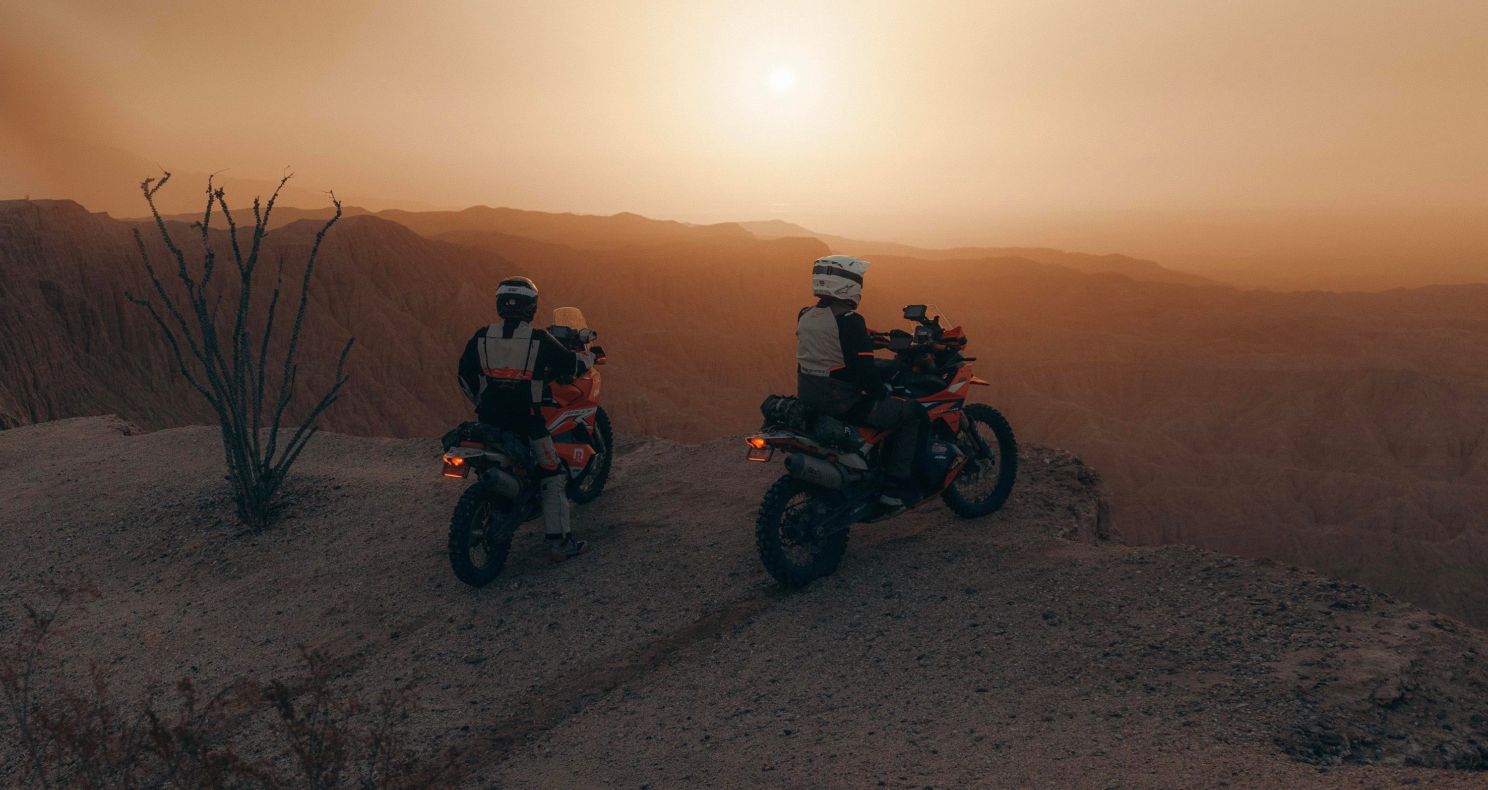 Image 68253763043706