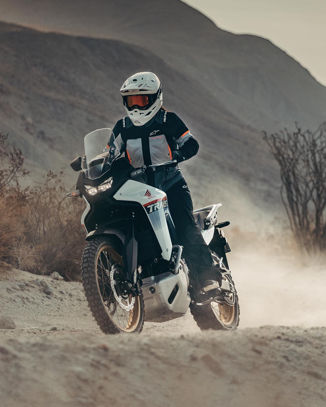 Image 68253766975866