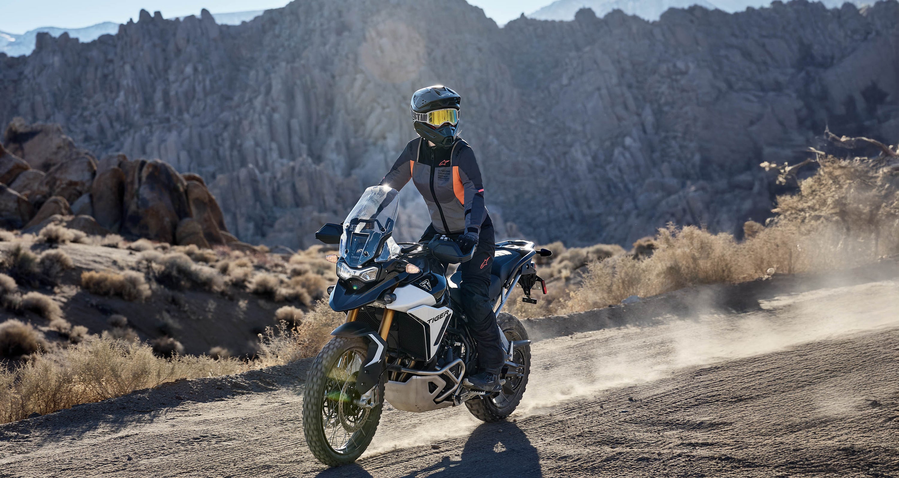 Image 68185001394554